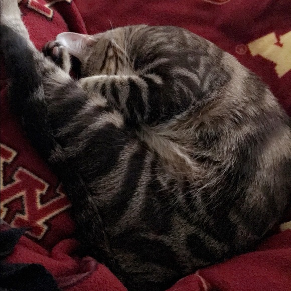 Meet your Posher, Onjya - Picture 8 of 8